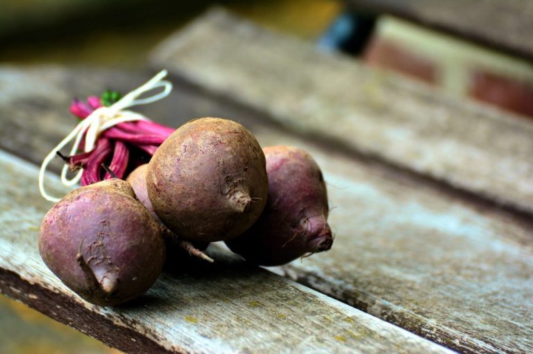 Scopri di più sull'articolo Zuppa con barbabietola, cavoli e funghi